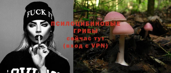 шишки Беломорск