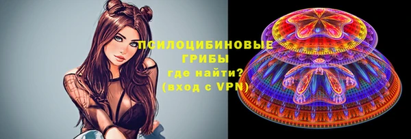 гидра Белокуриха