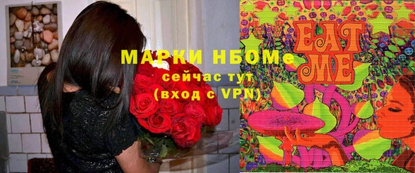 гидра Белокуриха
