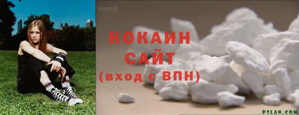 гидра Белокуриха