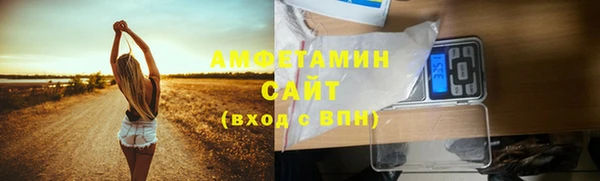 гидра Белокуриха