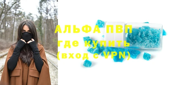 шишки Беломорск