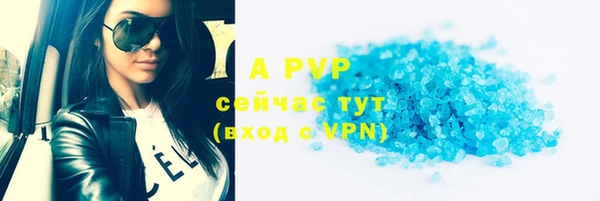 гидра Белокуриха