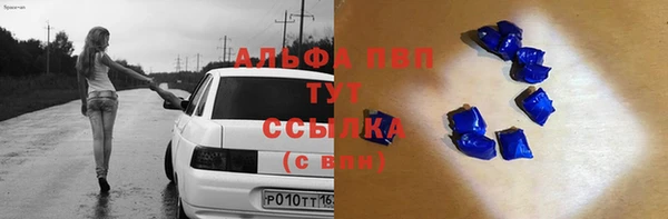 гидра Белокуриха