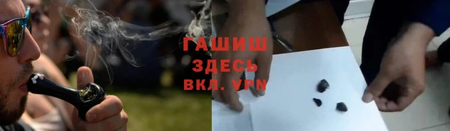гидра Белокуриха