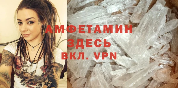 гидра Белокуриха