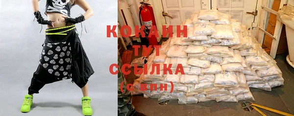 гидра Белокуриха