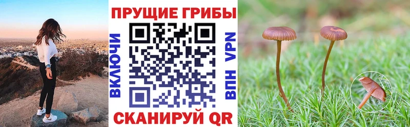 Галлюциногенные грибы MAGIC MUSHROOMS Буйнакск
