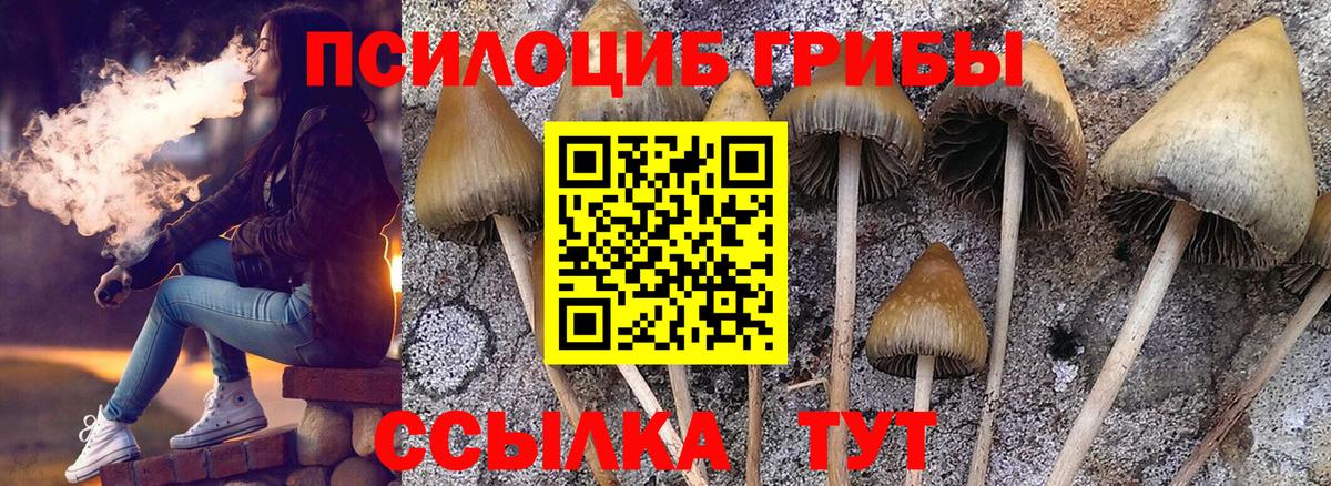 Галлюциногенные грибы GOLDEN TEACHER Буйнакск
